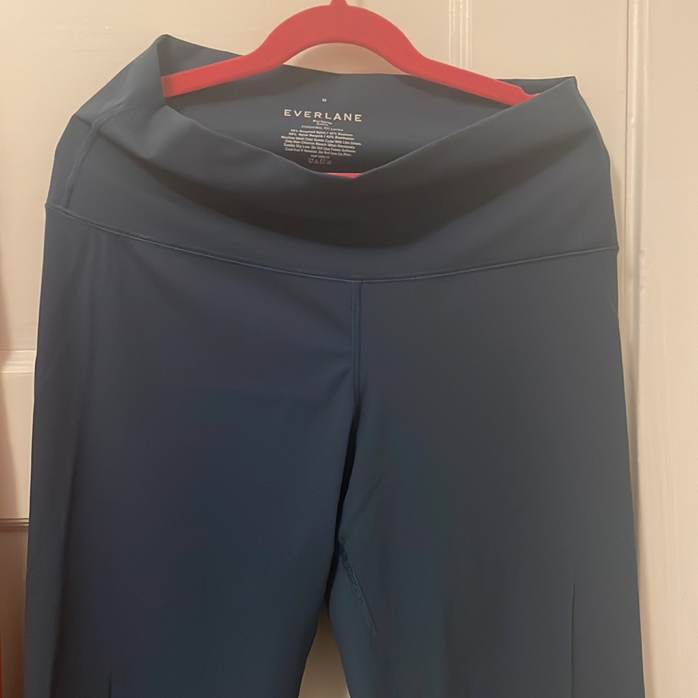 Everlane Perform Leggings in Blue